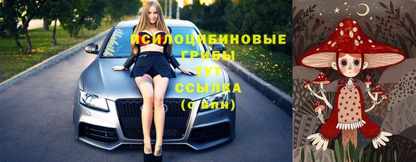 эйфоретик Рославль