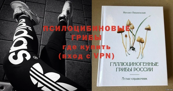 МДПВ Абдулино