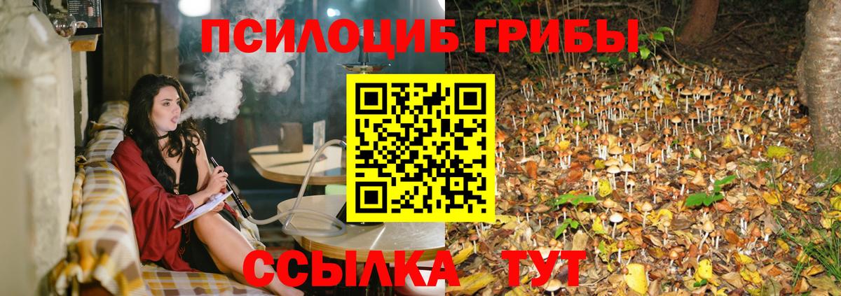 Галлюциногенные грибы Magic Shrooms Дальнереченск